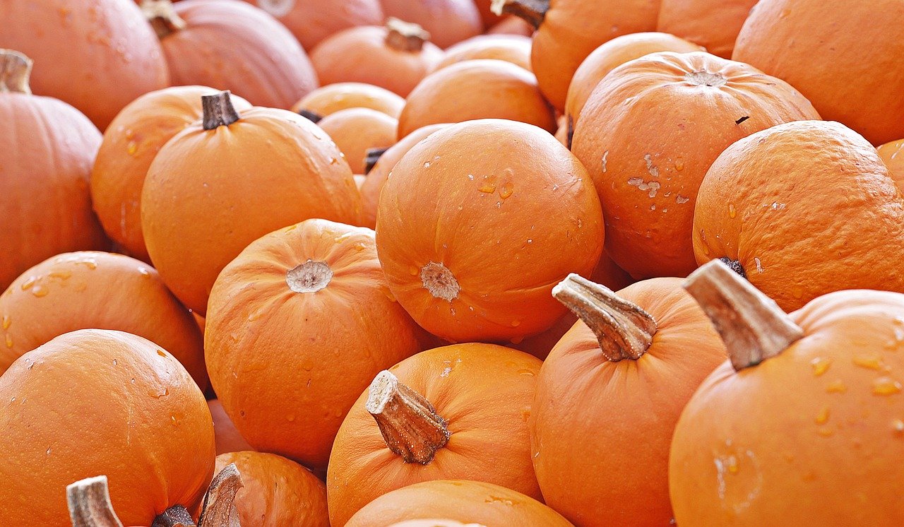 pumpkin, autumn, food